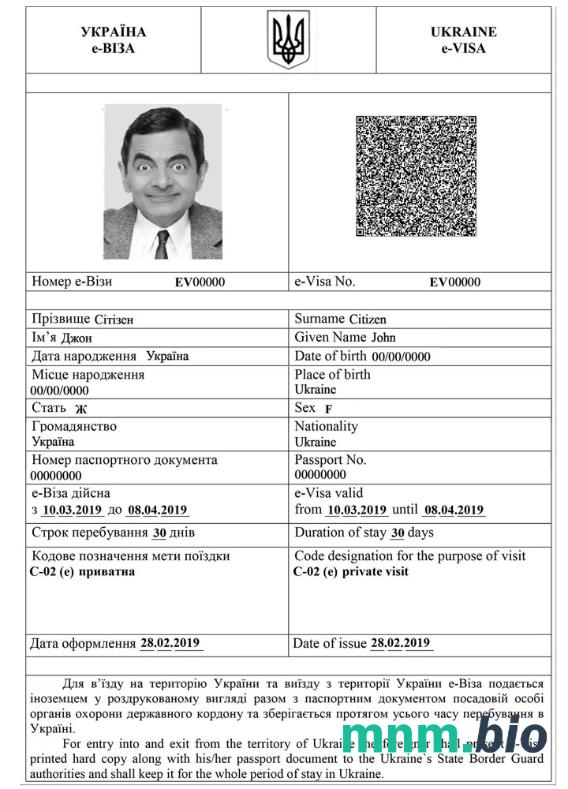 Ukrainee - szablon wizowy ze wszystkimi czcionkami